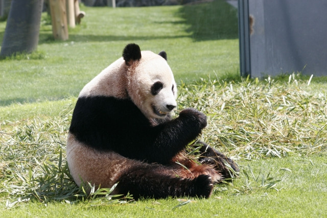 1970年代に日本と海外諸国の間で起きた出来事の画像