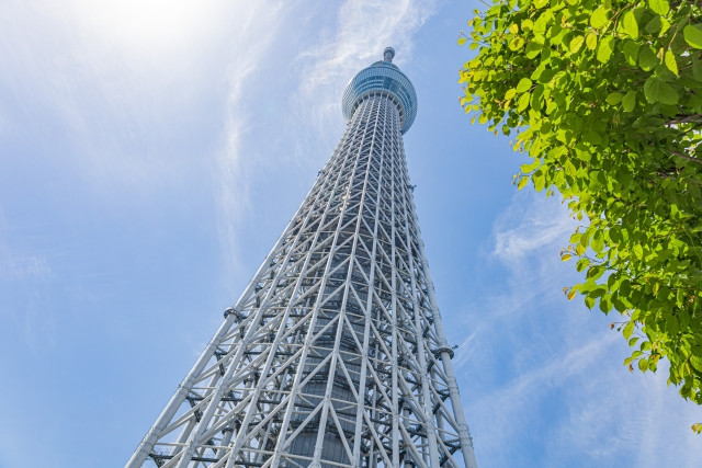 日本建築大賞を受賞した日本の建築家と受賞作の画像