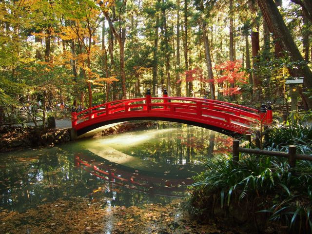 Red bridge and autumn foliage over a stream