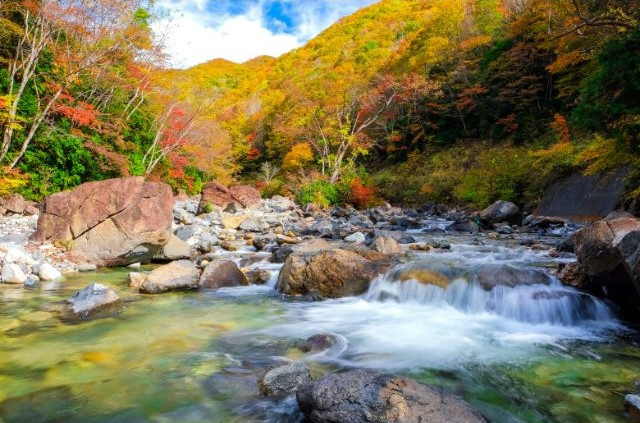 Takaragawa River with autumn foliage