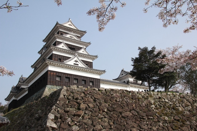 Ozu Castle during sakura season