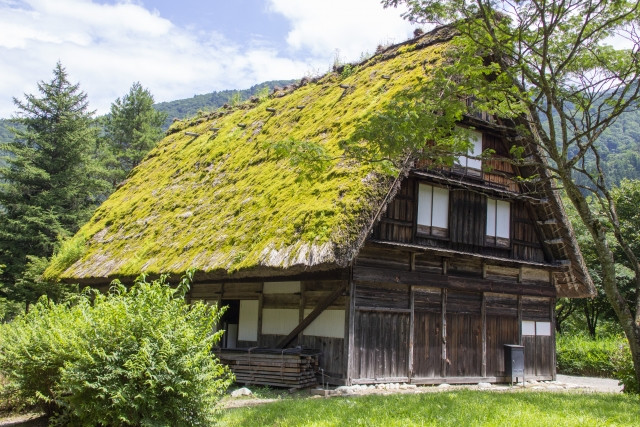 A Gassho Zukuri with grassy green roof