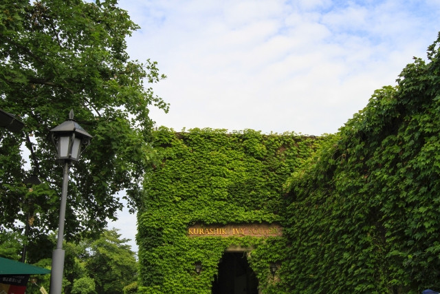 Kurashiki Ivy Square building covered with creeping ivy