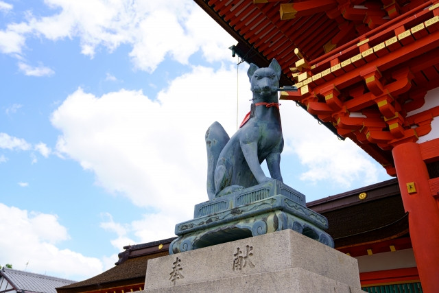 이나리신 여우 이미지