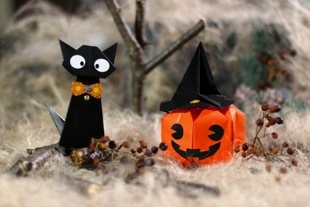 Halloween black cat and pumpkin