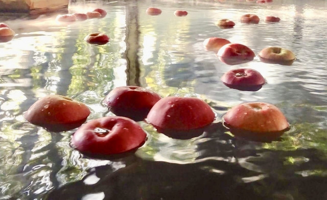 Hirosaki apple bath 