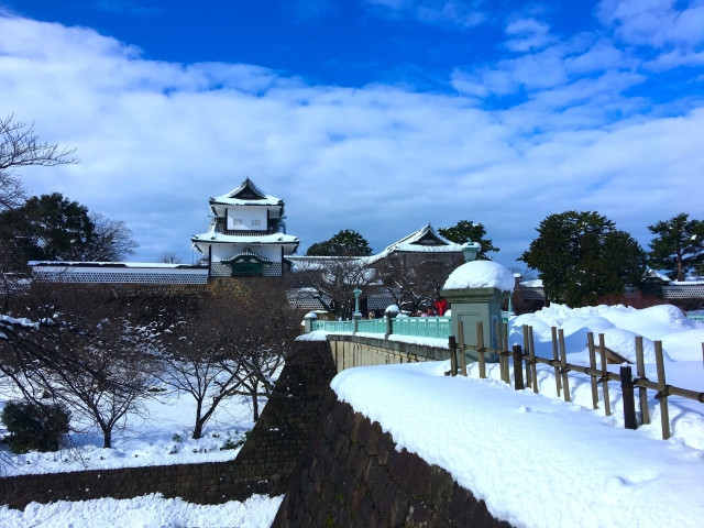 Hikone Castle covered by snow, true winter view