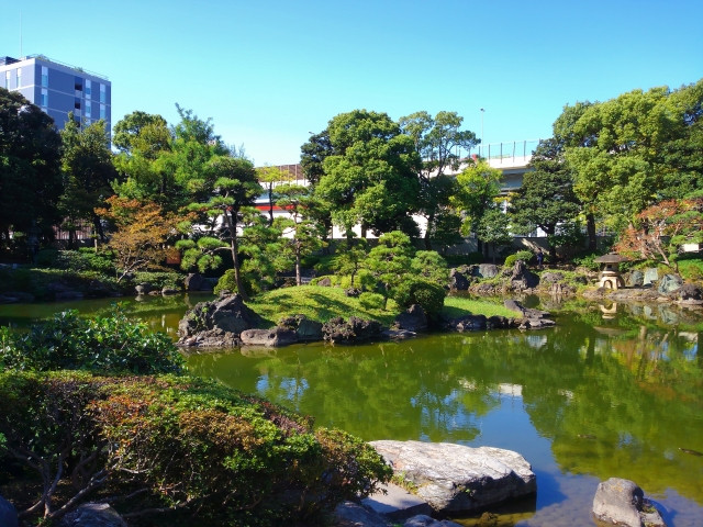 Green pond in Old Yasuda Garden
