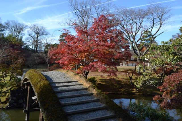 Katsura Imperial Villa's garden in autumn