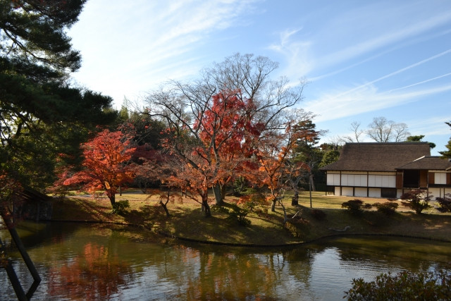 More autumn foliage in Katsura Rikyu 