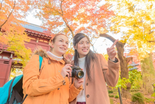 N3は日常会話レベルの日本語能力が求められるの画像