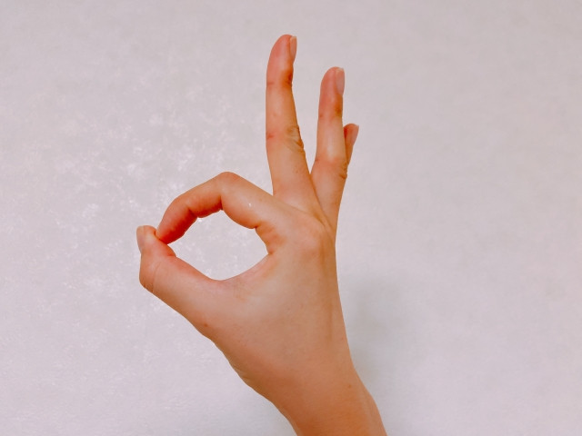 申請理由書と雇用理由書があると審査に有利の画像