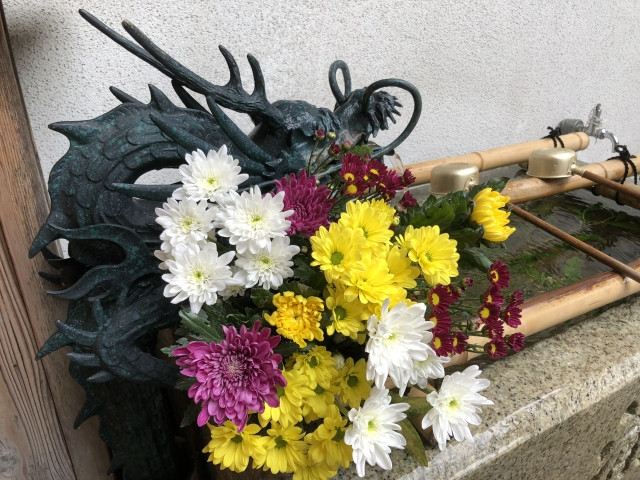 重陽の節句の画像