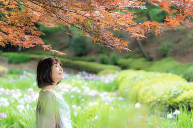 紅葉狩りの画像