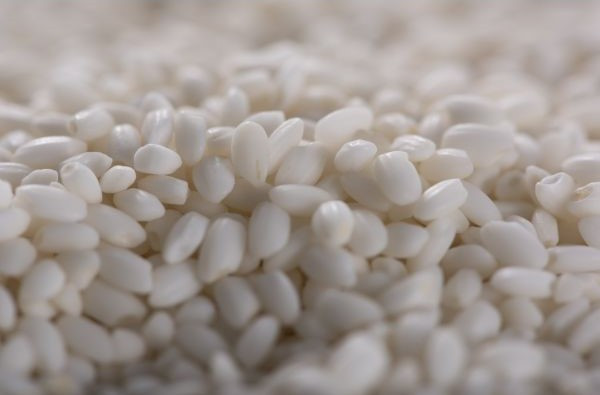 Fat grains of mochigome