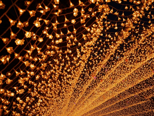 Nagashima Resort's Nabano no Sato Winter Illumination