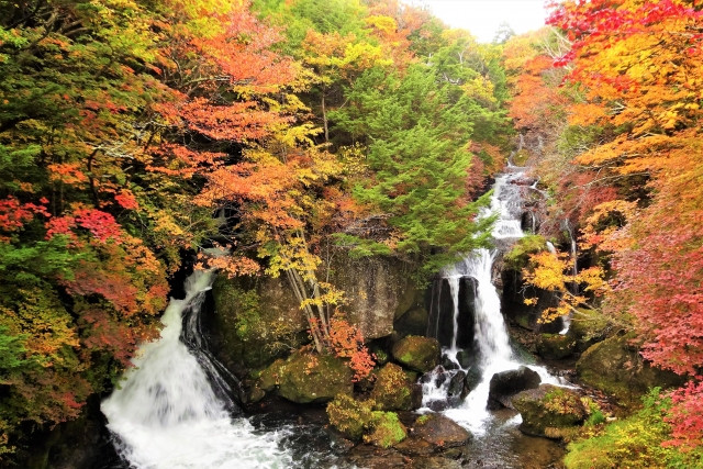 Autumn foliage in Nikko National Park Tochigi side