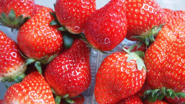 Best Japanese strawberries can be found in Tochigi