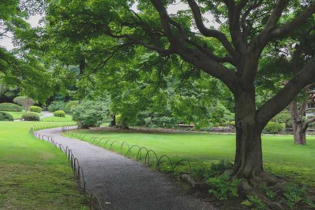 Spacious landscapes in Shinjuku Garden