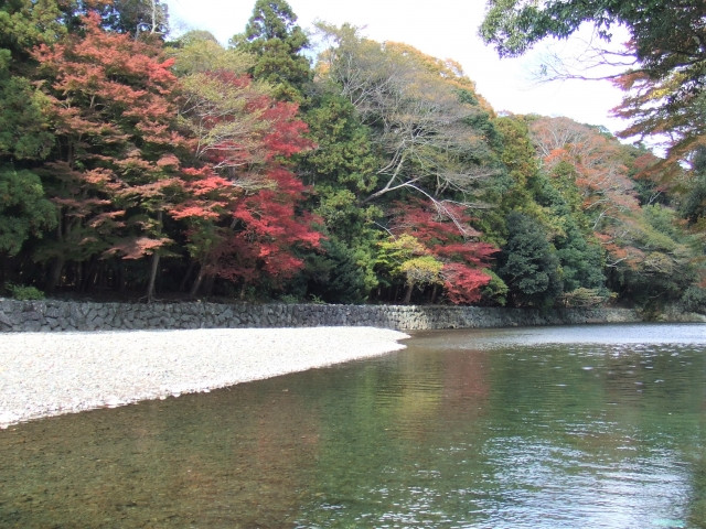 Autumn foliage on the banks of Isuzugawa, Ise