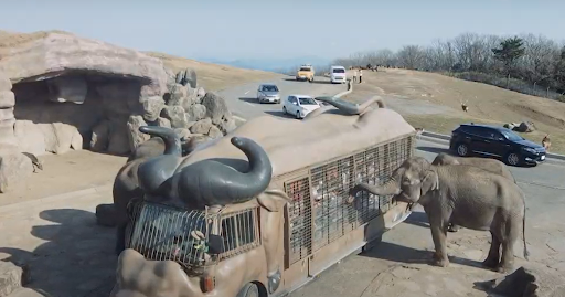 九州自然動物公園アフリカンサファリの画像