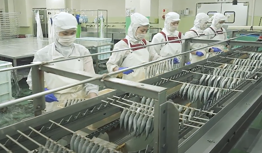 水産加工品工場で作業をしている技能実習生の画像