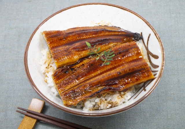 Unagi Donburi, or Unadon for short
