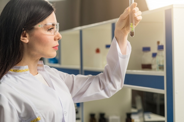 work visa in japan researcher