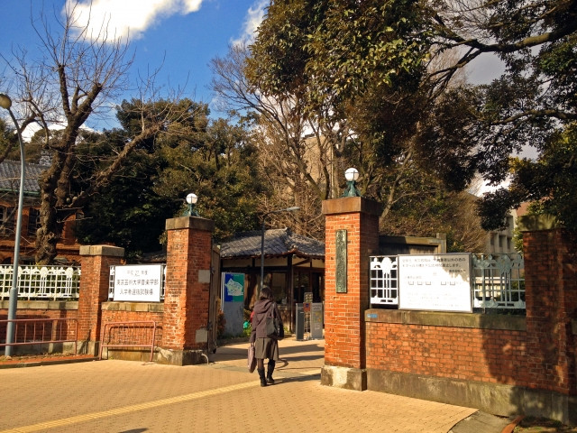 Tokyo University of the Arts 