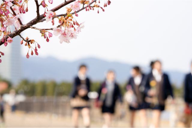 akb48 사쿠라노 키니 나로 이미지