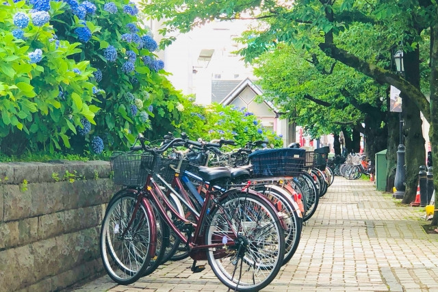 일본 자전거 주차 이미지