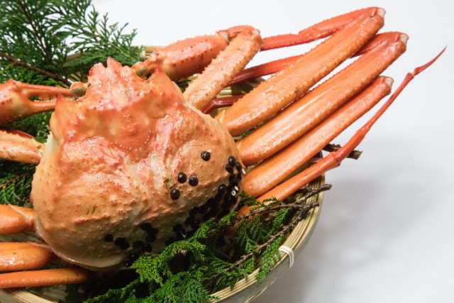 giant snow crab