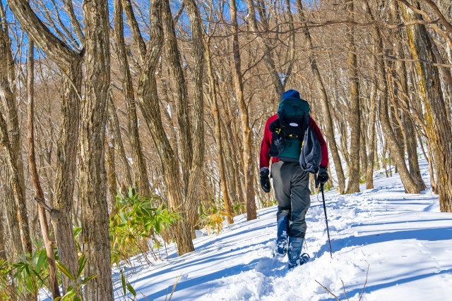 Best Prefectures for Experiencing Winter Sports in Japan