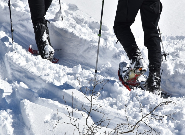 hikers in snowshoes trekking