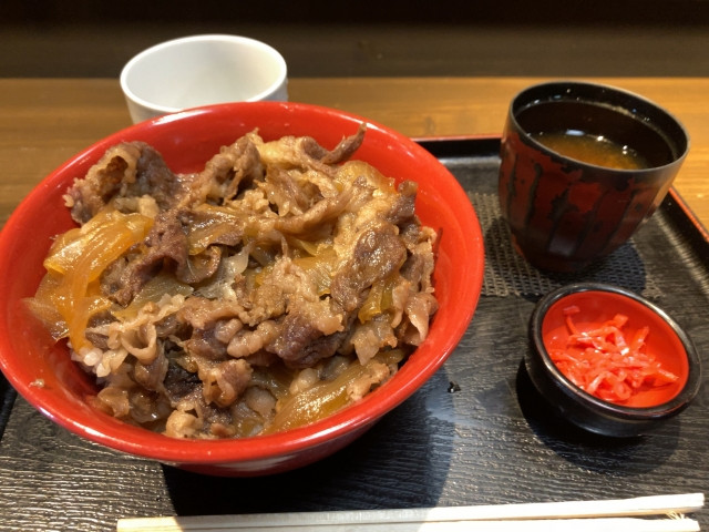 일본 돈부리 이미지