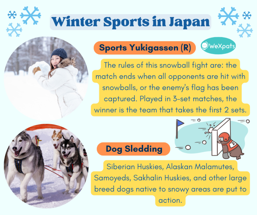 winter sports in japan: sports yukigassen, dog sledding