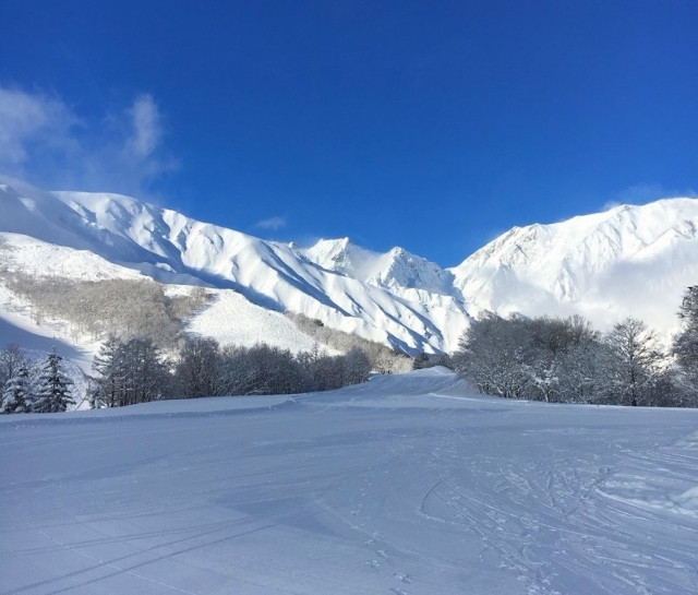 白馬八方尾根滑雪場【長野縣】