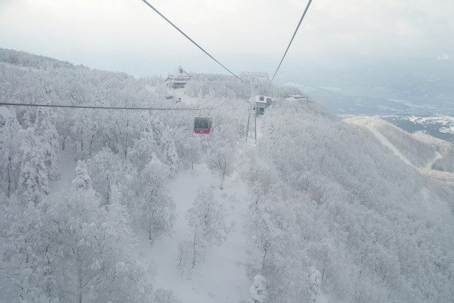藏王溫泉滑雪場【山形縣】