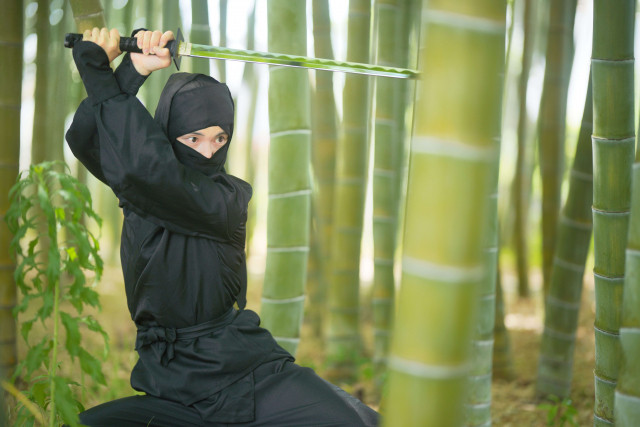 武士和忍者在海外受歡迎的理由