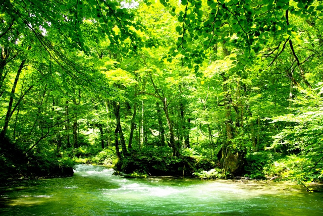 Khí hậu và địa lý