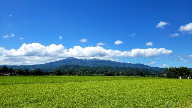 เพลิดเพลินกับ 4 ฤดูในญี่ปุ่น