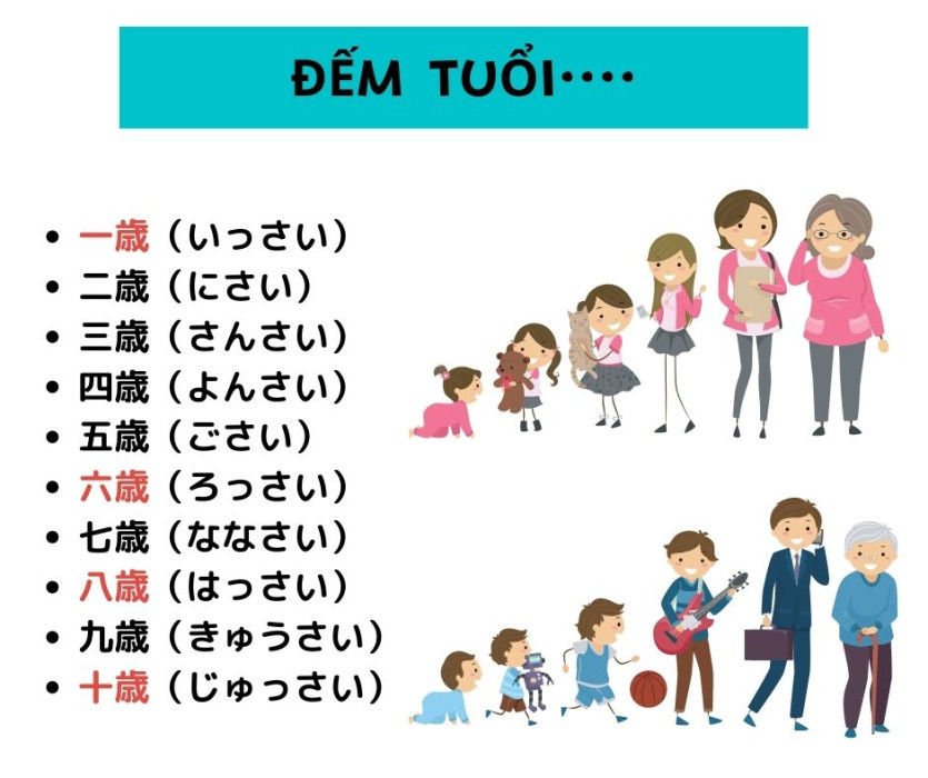 Đếm tuổi, sách vở, quần áo, tuần 