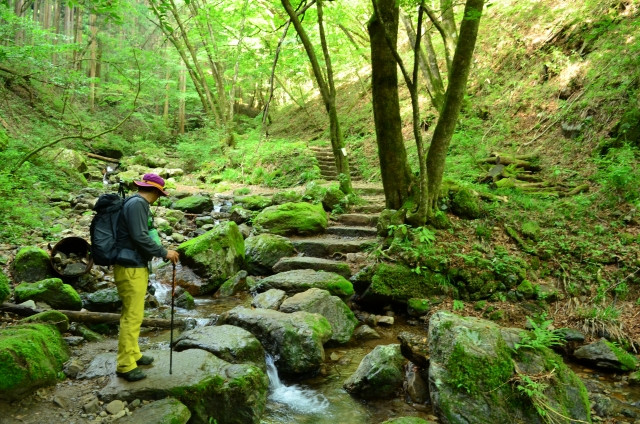 ภูเขามิตาเกะ