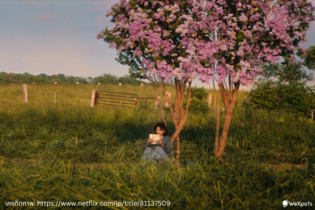 รักแรก (First Love 初恋)