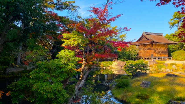 Japanese traditional architecture : Japanese garden