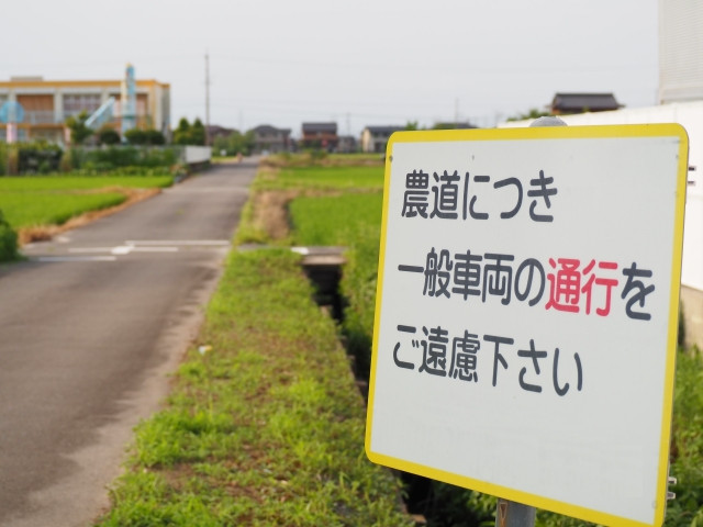 고엔료구다사이 이미지