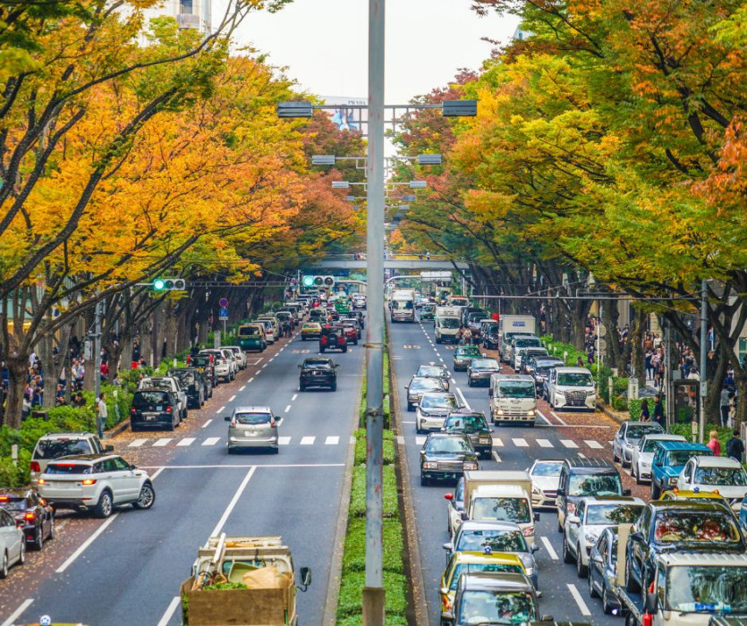 表参道(omote-sando)