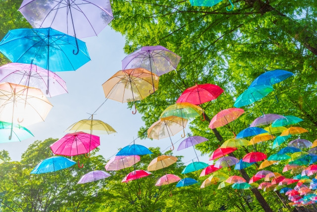 Best Places to Visit in Japan during Summer