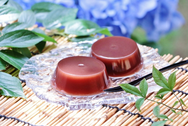 Japan Summer Food Must-Eats mizu-yokan