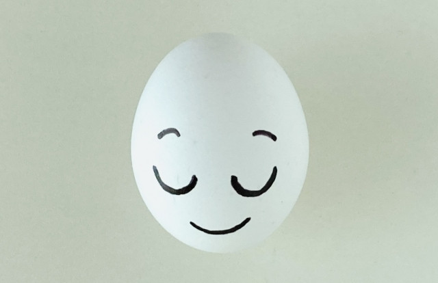 사요데고자이마스카(左様でございますか) 이미지